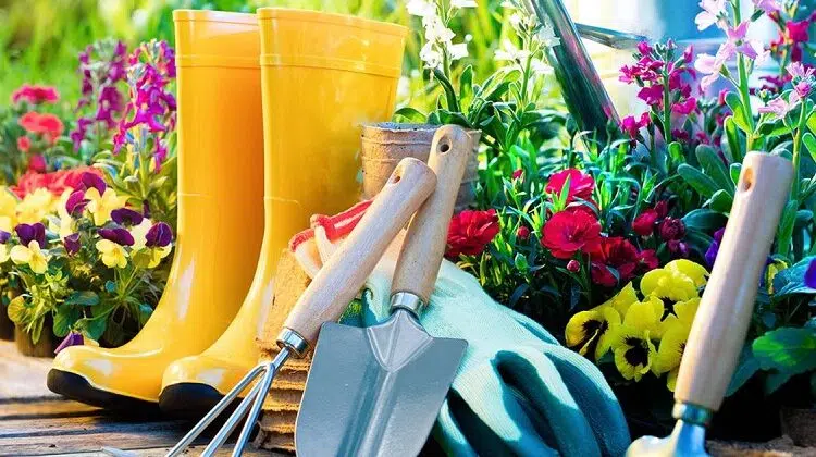 Comment bien choisir son matériel de jardinage 